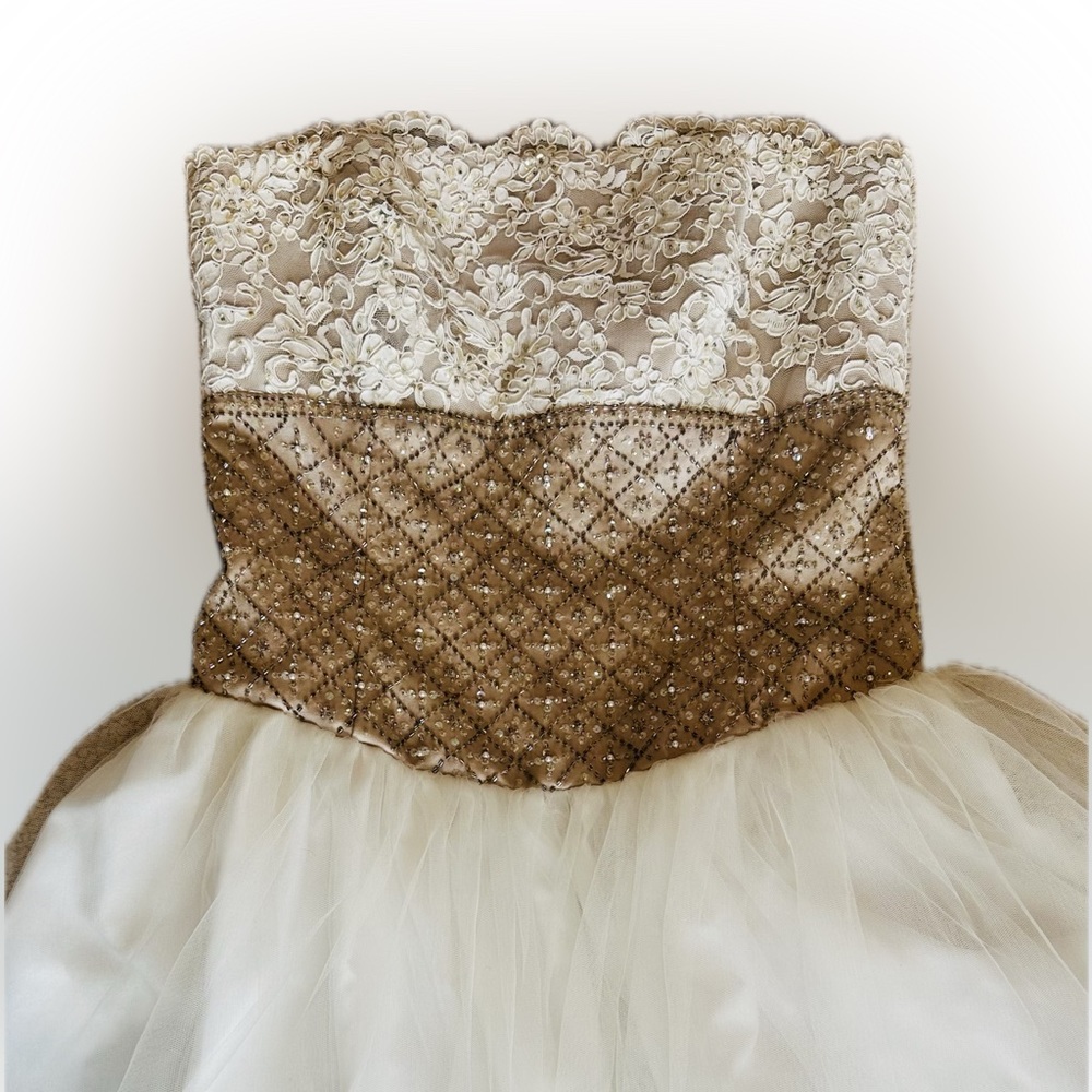 DAVID’S BRIDAL / CINDERELLA BALLGOWN / WEDDING/PROM/QUINCENẼRA DRESS 👰‍♀️